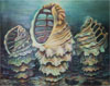 Shells(100x100) ,  canvas,oil.2004